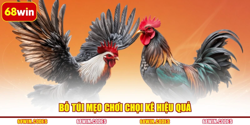 Bỏ túi mẹo chơi chọi kê hiệu quả