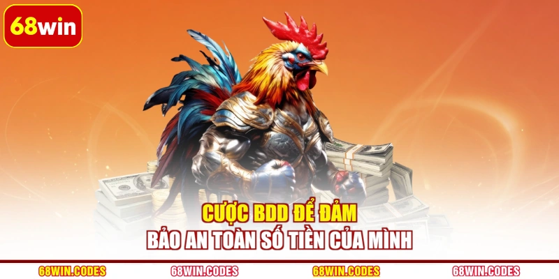 Cược BDD để đảm bảo an toàn số tiền của mình